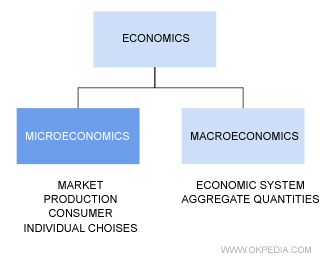 Difference between Micro and Macro Economics