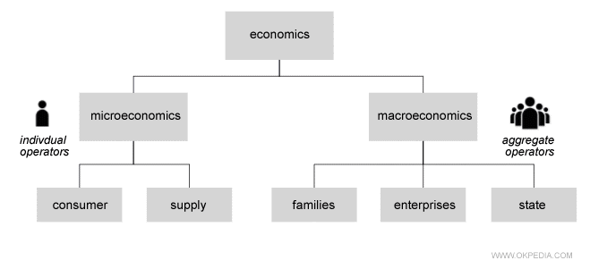 difference between Microeconomics and Macroeconomics