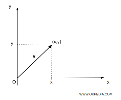 example of a vector