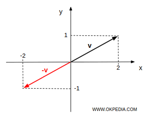 negative vector