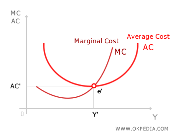AVERAGE COST CURVE