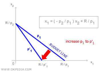 EFFECT OF PRICE VARIATION ON BUDGET CONSTRAINT