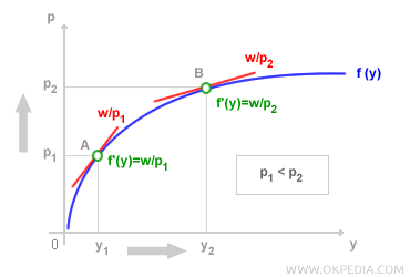 PRODUCTION FUNCTION