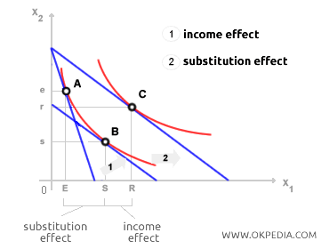 SUBSTITUTION EFFECT