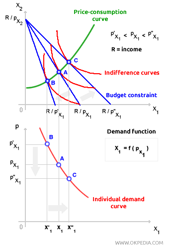 INDIVIDUAL DEMAND CURVE