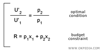 OPTIMAL CHOICE EQUATION SYSTEM